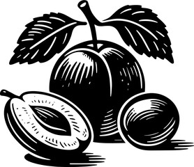 Damson Plum Fruit icon 7