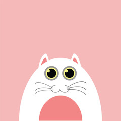 White cat on a peach color background.