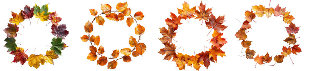 Fototapeta premium Round autumn leaves frame set isolated on transparent or white background