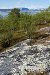 At akkajavre in swedish Lappland. Akka mountains in background.