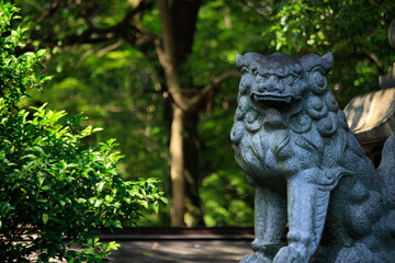 狛犬（こまいぬ）