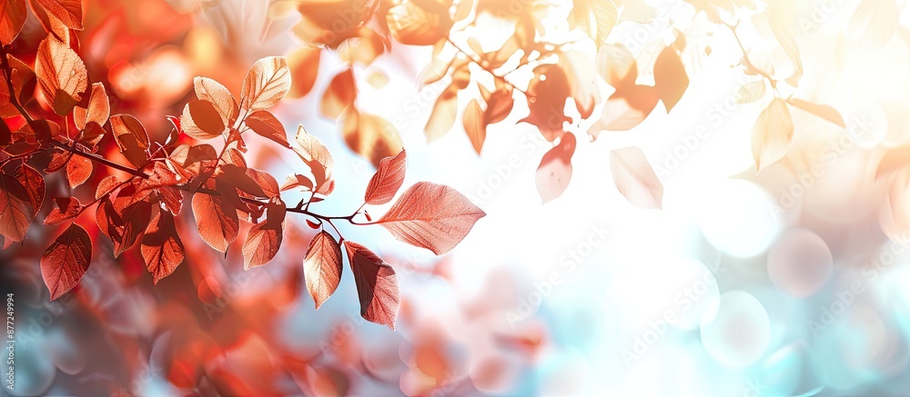 Aufkleber Autumn leaves branch in park view with a photography suitable for adding text within the copy space image