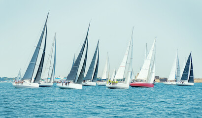 Fototapeta premium Sailboats races in regatta near Brindisi under blue cloudless sky. Boats have white and black sails