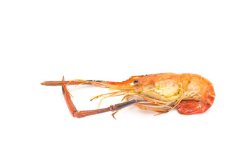 shrimps on white background