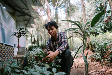 Man of Asian descent choosing plant leaves for cutting, demonstrating meticulous care in gardening