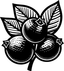 Buffaloberry Fruit icon 2