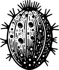 Cactus Pear Fruit icon 5
