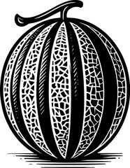 Cantaloupe Fruit icon 11