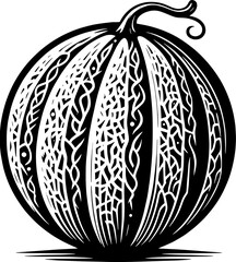 Cantaloupe Fruit icon