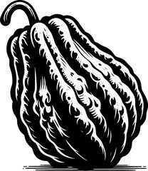 Chayote Fruit icon 4