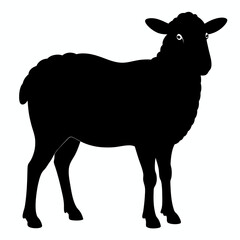 silhouette of a sheep,Sheep vector