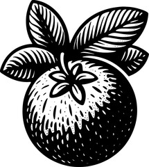 Chikoo Fruit icon 5