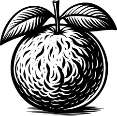 Clementine Fruit icon 13