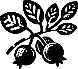 Cranberry Fruit icon 1