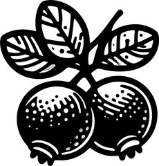 Cranberry Fruit icon 4