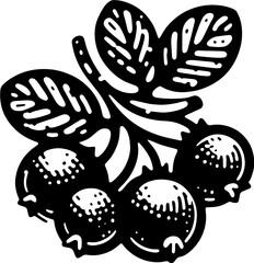 Cranberry Fruit icon