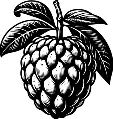 Custard Apple Cherimoya Fruit icon 10