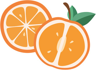 Two half oranges transparent vector