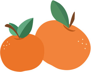 Two size oranges transparent vector