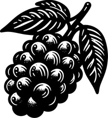 Acai Berry Fruit icon 2