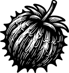 Achacha Fruit icon 7