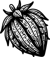 Achacha Fruit icon