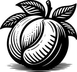 Apricot Fruit icon 14