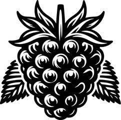 Black Raspberry Fruit icon 8