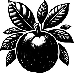 Black Sapote Fruit icon 3