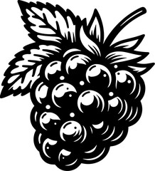 Blackberry Fruit icon 2