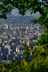 View of the city from behind the trees, Tbilisi, Georgia