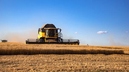 Fototapeta premium New Holland harvester harvests in a field on a sunny day. Editorial.Field work in summer. Cranes on hand when harvesting grain crops.Harvest 2024.