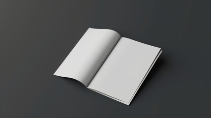 Two blank brochures, one slightly open and the other closed, placed on a dark grey background