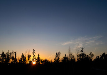 Atardecer a contra luz en el parque
