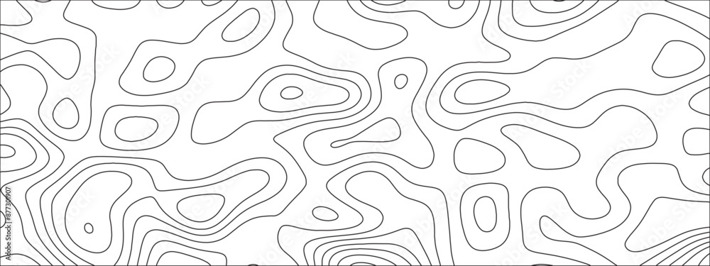 Leinwandbilder Abstract Topographic Map Seamless Pattern. opographic map and landscape terrain texture grid. Geographic contour map and topographic contours map background. 