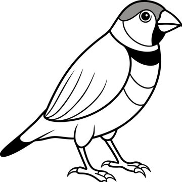 recommend clip art: A beautiful bird  line art vector 