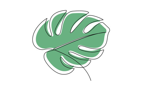 recommend clip art: Monstera leaf line art. Tropical leaves continuous line draw design isolated on white background. Botanical nature concept, Monstera leaf one continuous line art. Nature plant minimalism design hand 