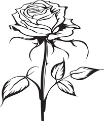 a drawing of black and white rose flower outline