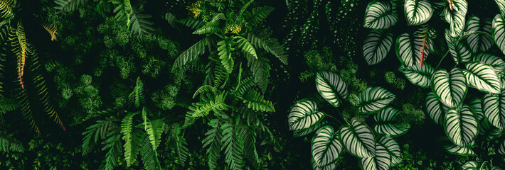 lush green plant with leaves and a stem