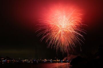 Bight colorful fireworks burst over Marina del Rey for LA County's Fourth of July Celebration.
