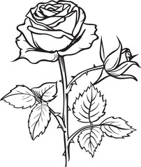 a drawing of black and white rose flower outline
