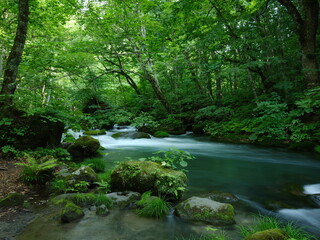 Obraz premium 奥入瀬渓流 青森県