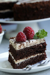 chocolate cake with fresh raspberries for dessert