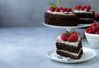 chocolate cake with fresh raspberries for dessert
