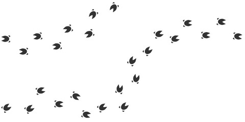 Footprints of Farm Animal, Traces of a Pig on white background. Pig or piglet silhouette animal tracks. Paw Print. Vector illustration. EPS10. © katarinanh