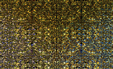 sunflower seed background