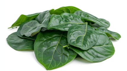 Obraz premium Plu kaow leaves on a white background