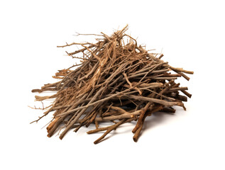 Branches pile isolated. Dry twigs pile ready for campfire, sticks, boughs heap for a fire