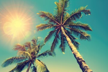 Oasis Palm Trees. Vintage Tropical Beach Background with Shining Sun and Coconut Trees