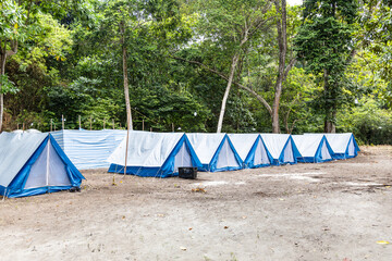 Multiple basic camping tents erected at campsite on beach next to the woods in nature